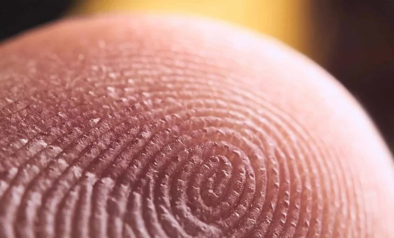 Comprendre le fonctionnement des empreintes digitales